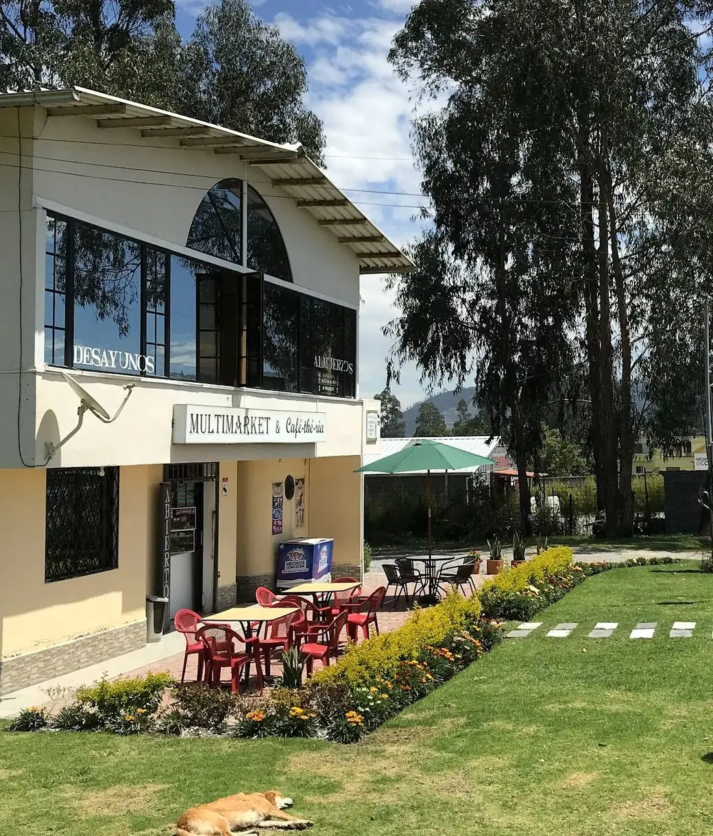 La terraza y el jardín de CHADIZ